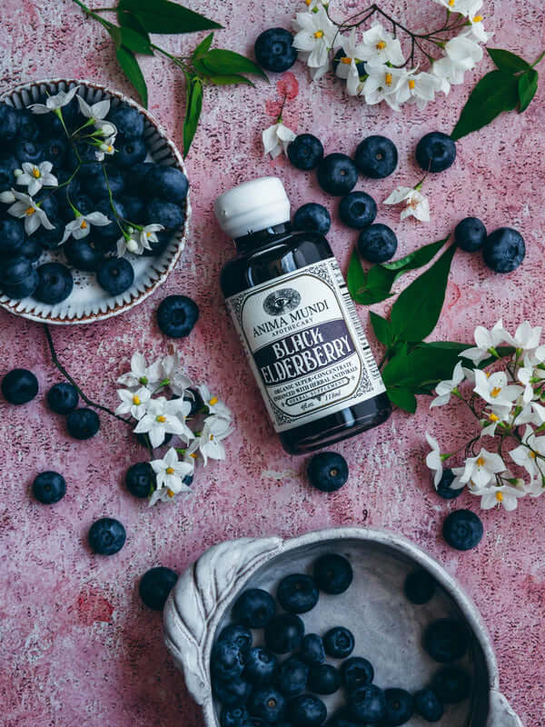 Anima Mundi BLACK ELDERBERRY Elixir