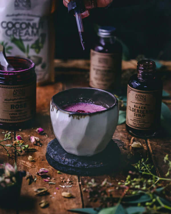 BLACK ELDERBERRY Elixir - Organic Antivirals